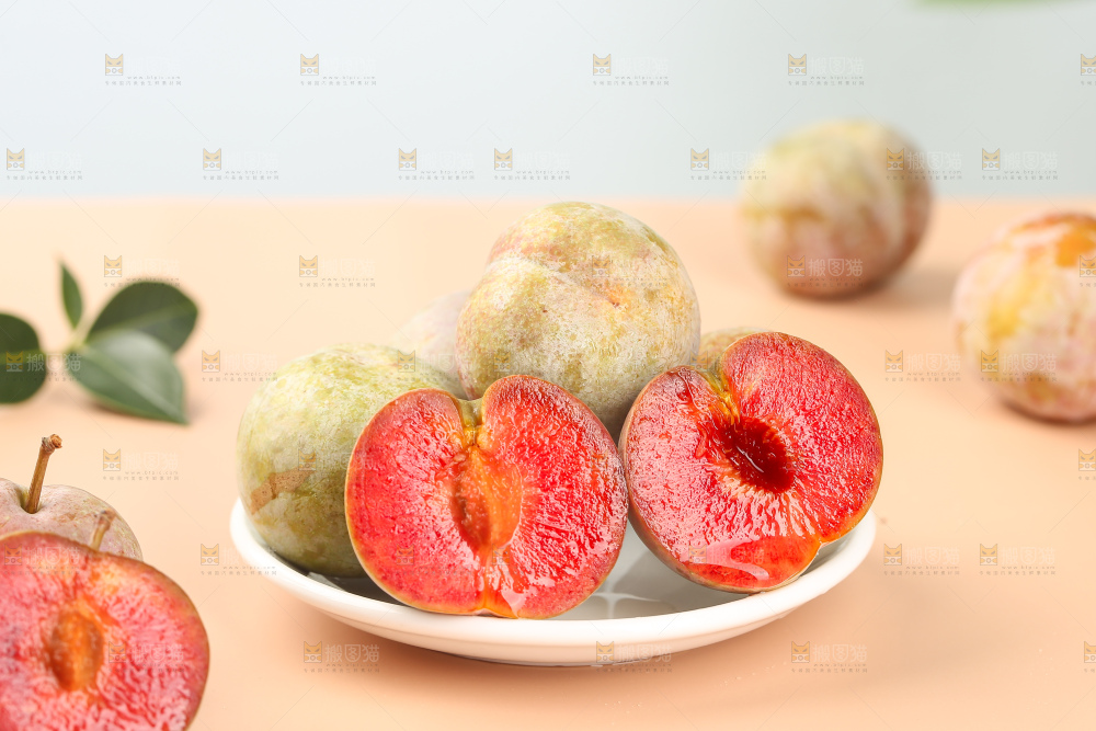 浅底上的芙蓉李