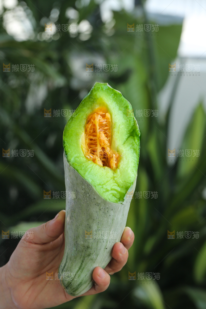 手里拿着羊角蜜甜瓜