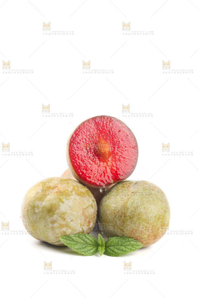 白底上的芙蓉李