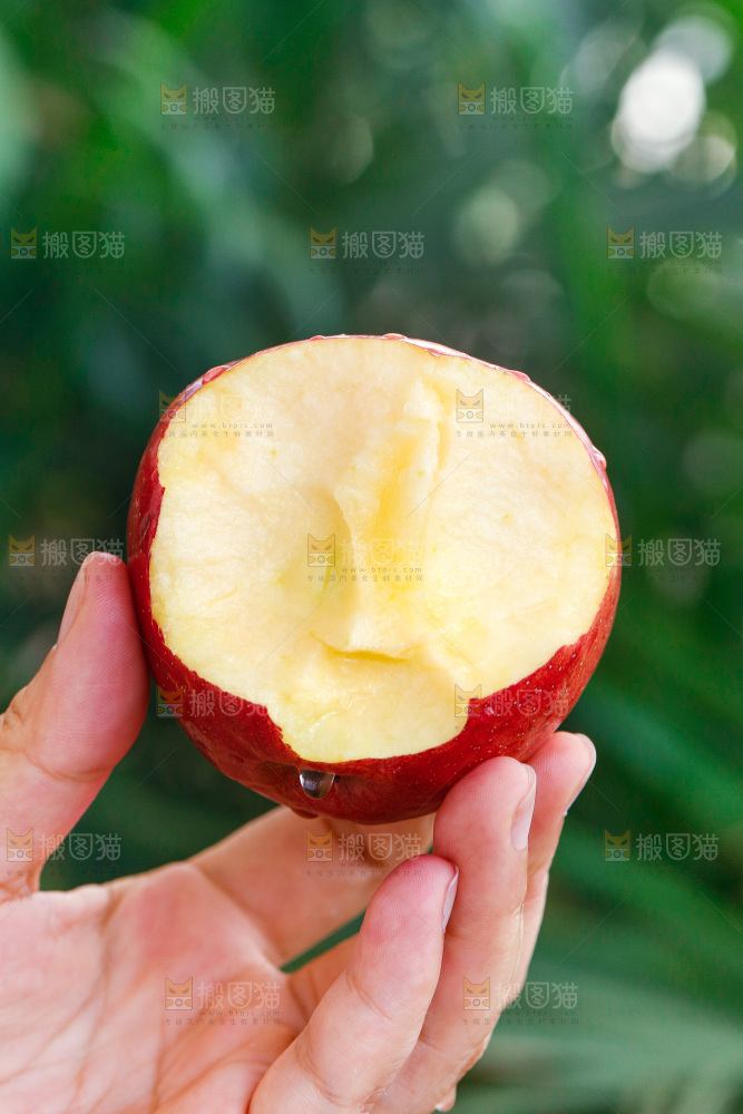 手里拿着红露苹果