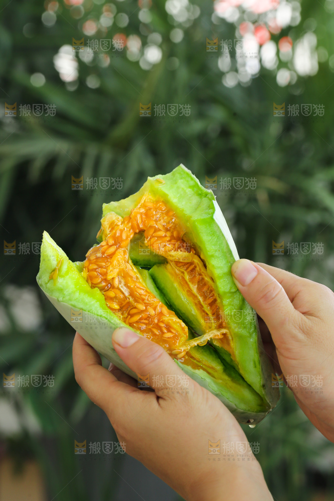 手里拿着羊角蜜甜瓜
