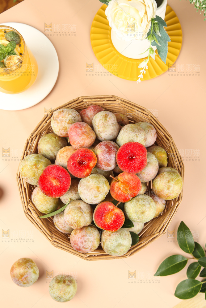 浅底上的芙蓉李