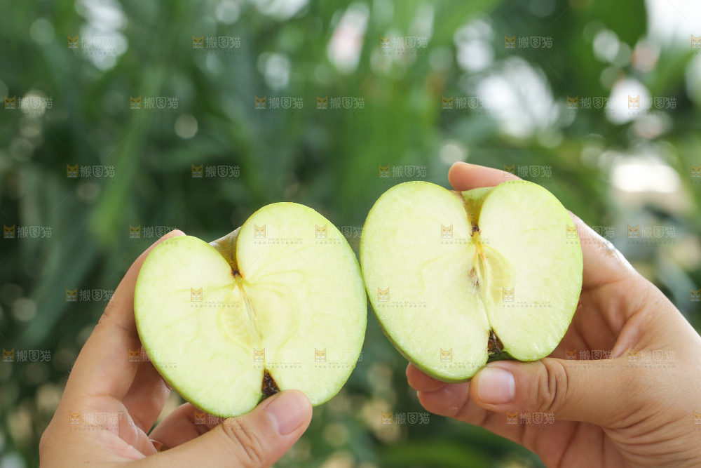 手里拿着金帅青苹果