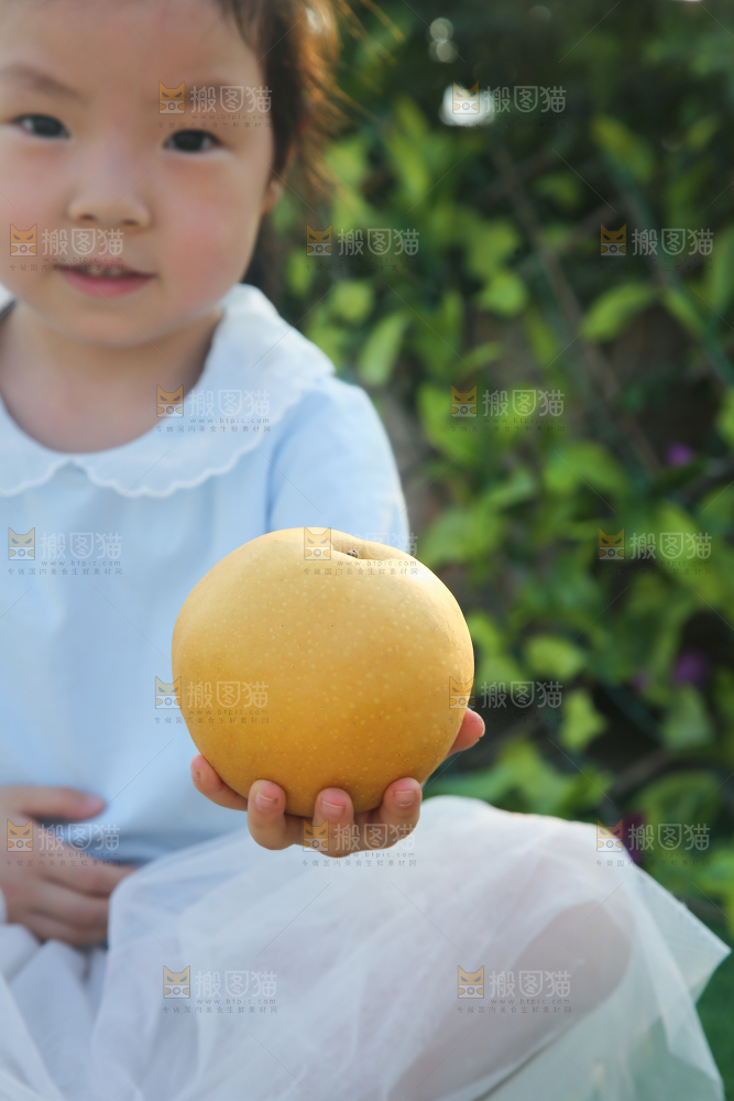 手里拿着秋月梨