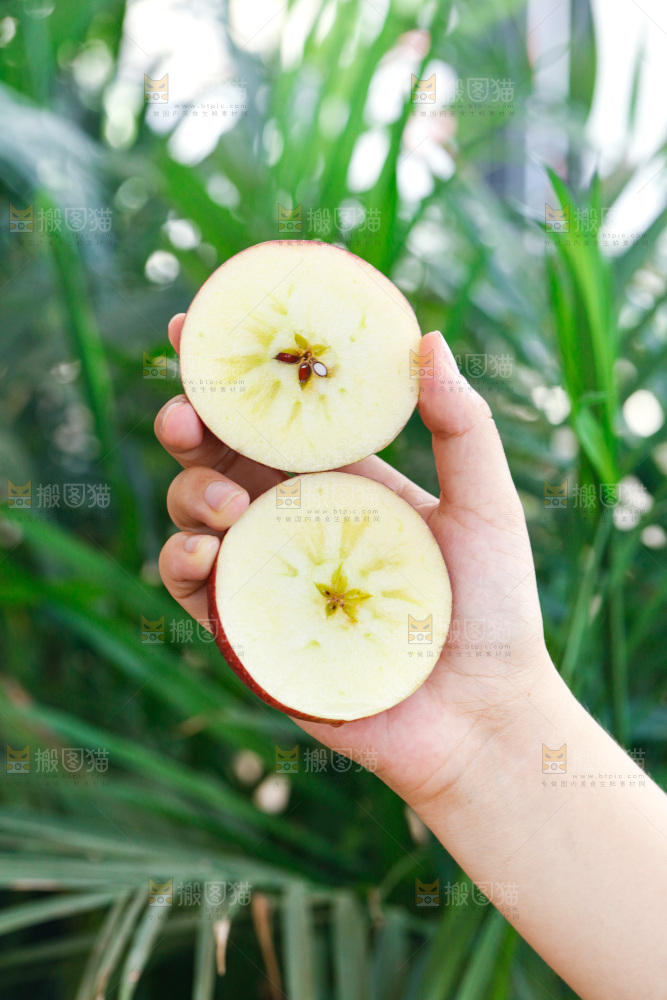 手里拿着红露苹果
