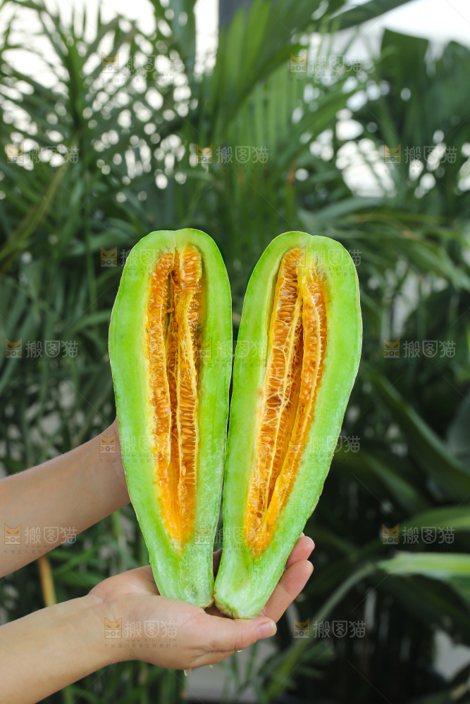 手里拿着羊角蜜甜瓜