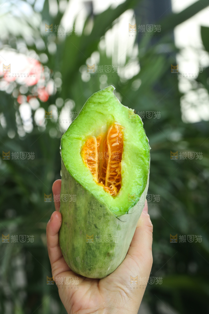 手里拿着羊角蜜甜瓜