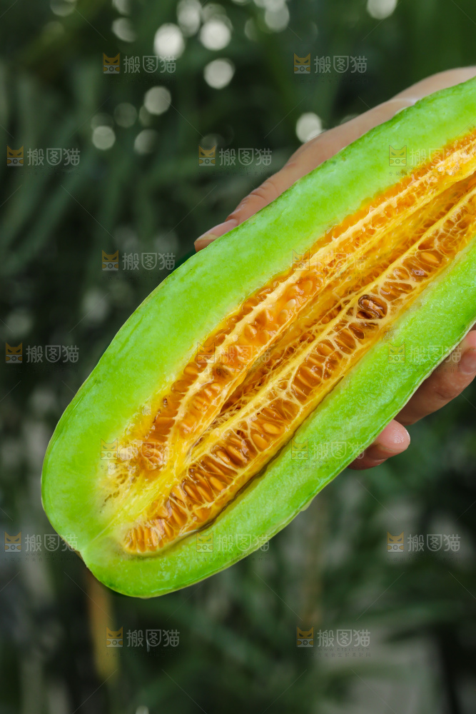 手里拿着羊角蜜甜瓜