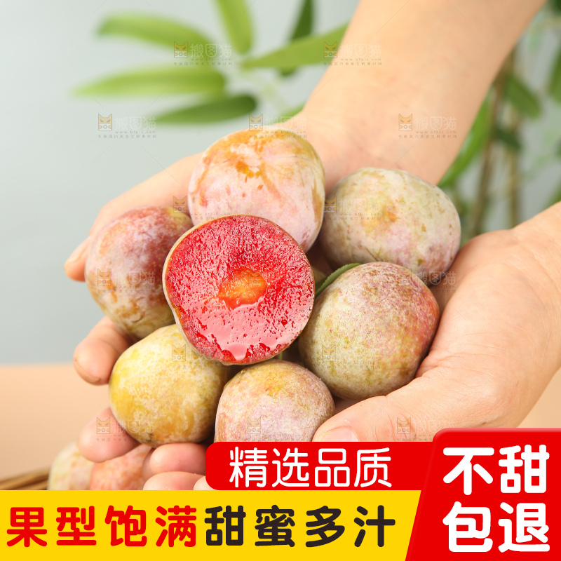 浅底上的芙蓉李