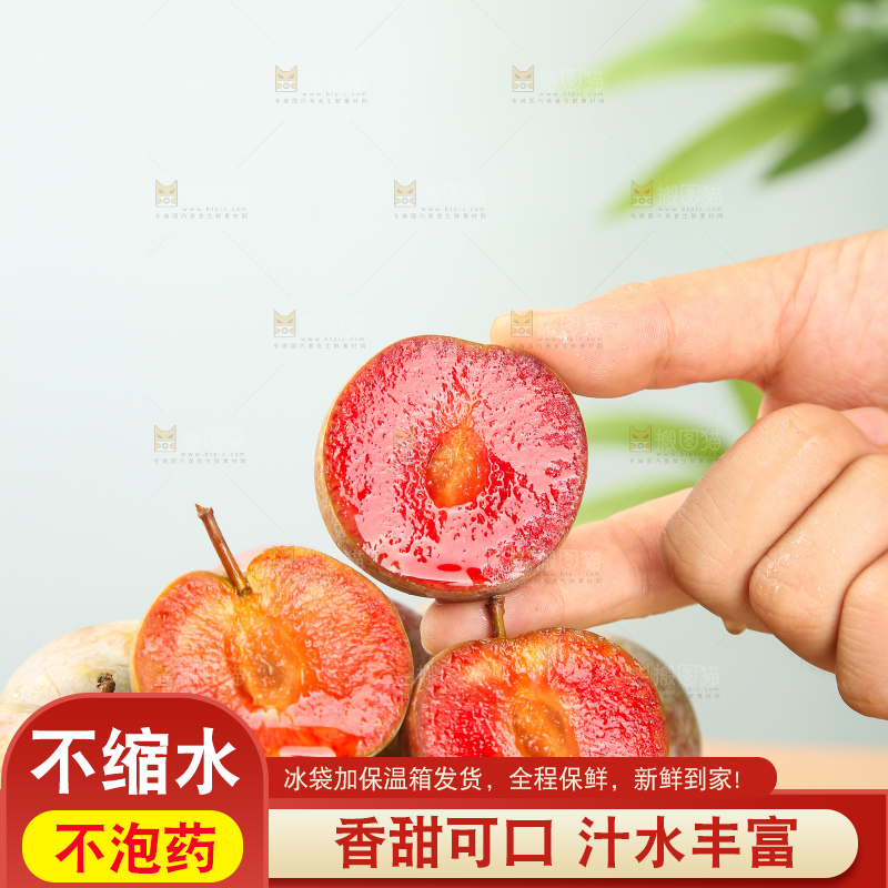 浅底上的芙蓉李