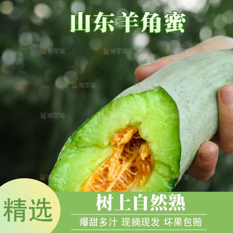 手里拿着羊角蜜甜瓜