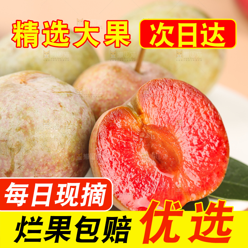浅底上的芙蓉李