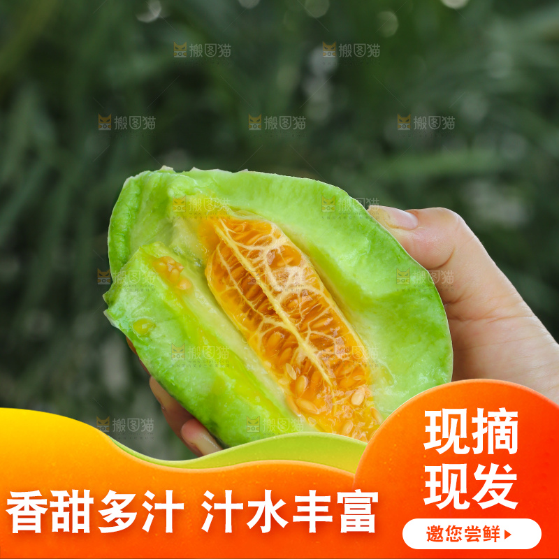 手里拿着羊角蜜甜瓜