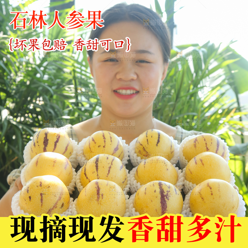 手里拿着一箱石林人参果