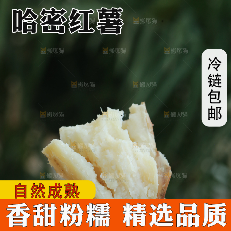 手里拿着白心冰糖薯