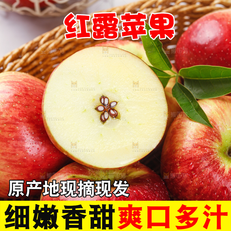 浅底上的红露苹果