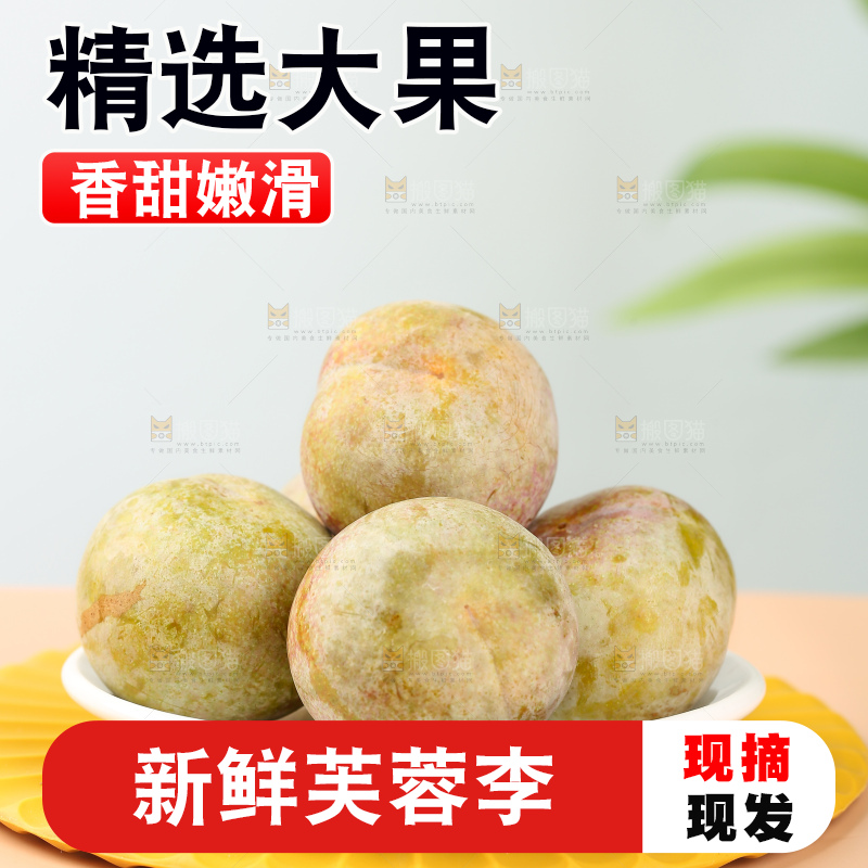 浅底上的芙蓉李