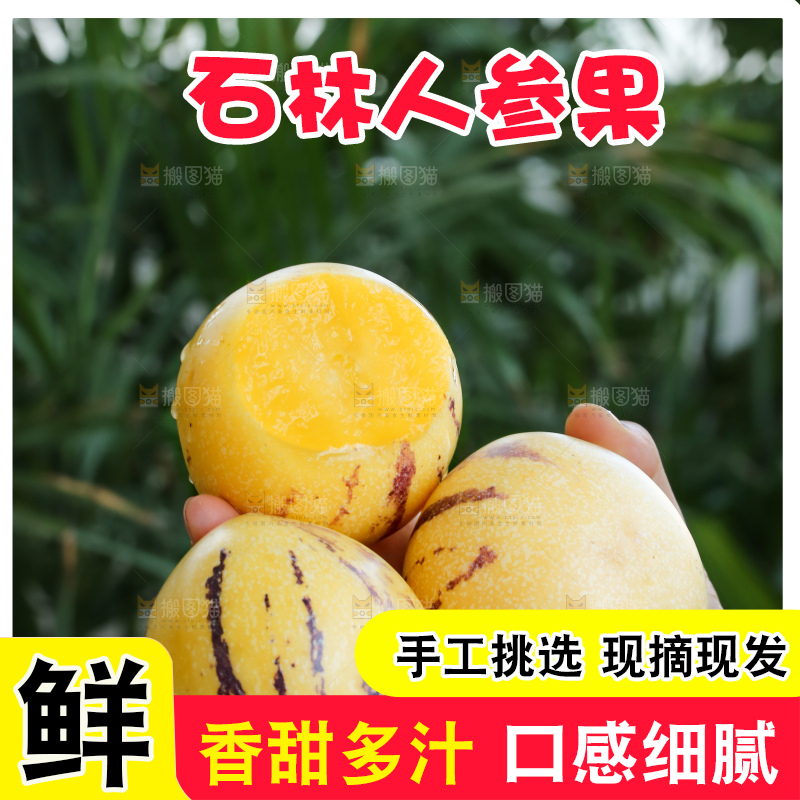 手里拿着石林人参果