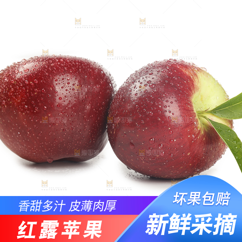 白底上的红露苹果