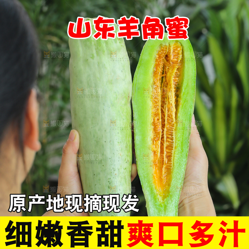 手里拿着羊角蜜甜瓜