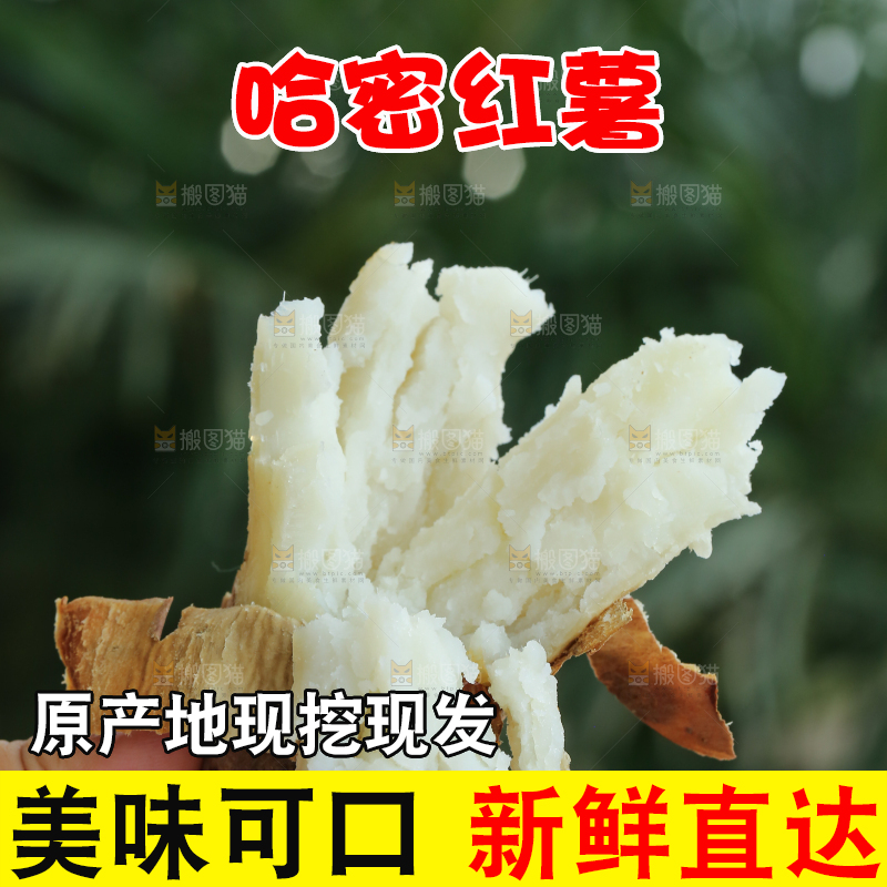 手里拿着白心冰糖薯