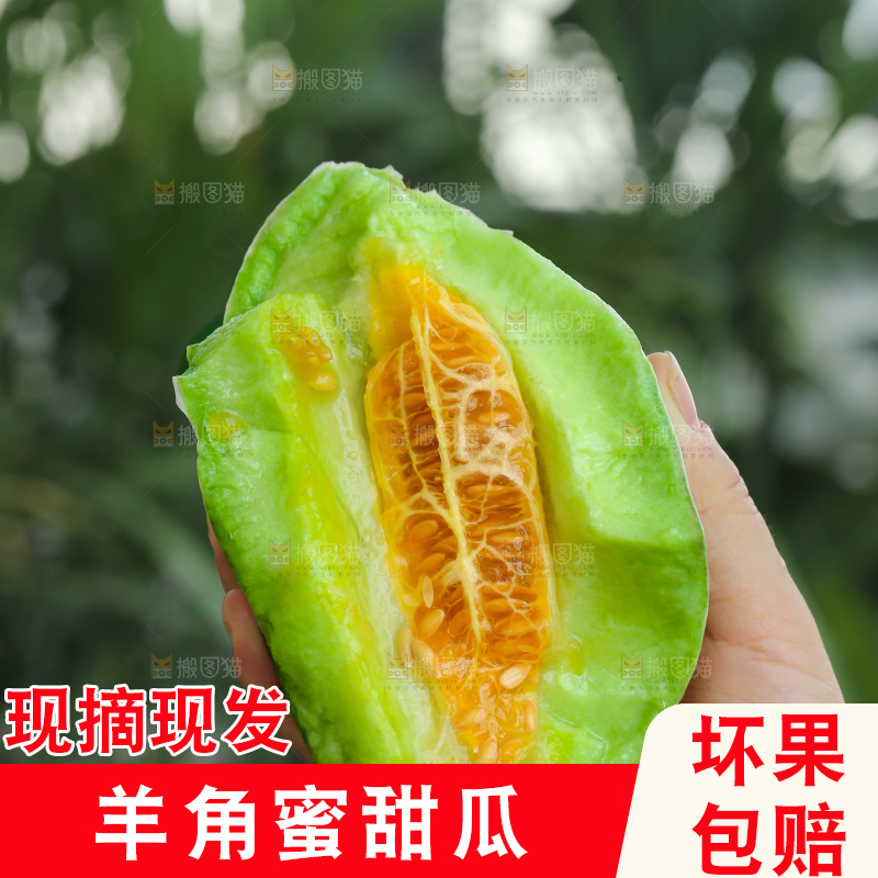 手里拿着羊角蜜甜瓜