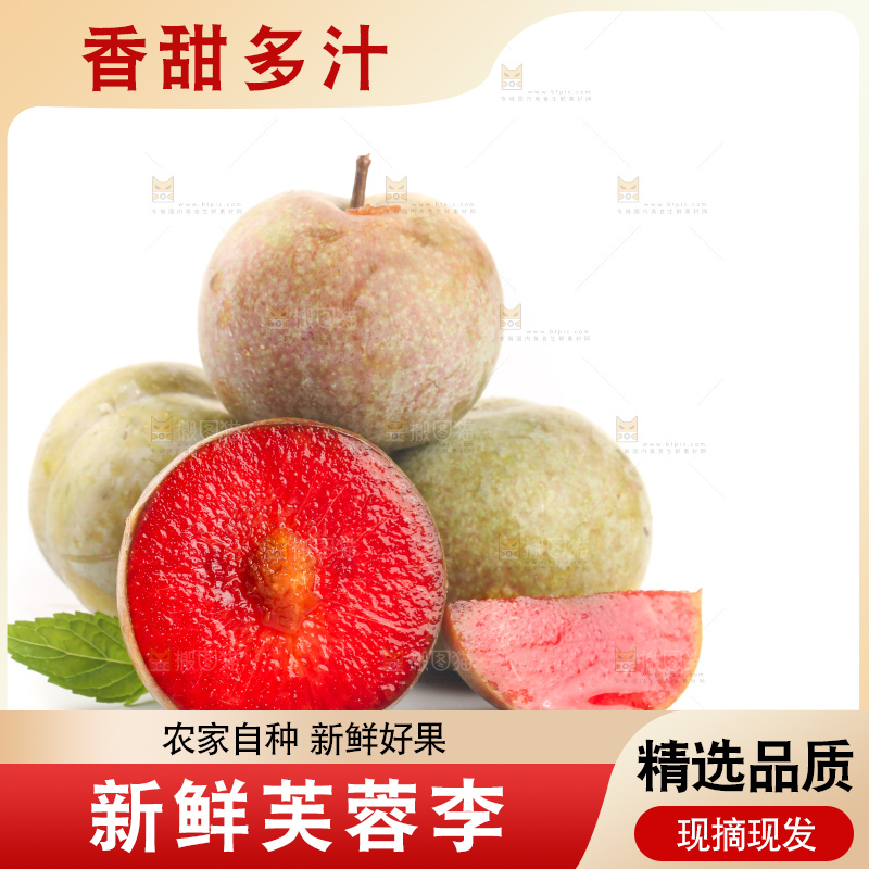 白底上的芙蓉李