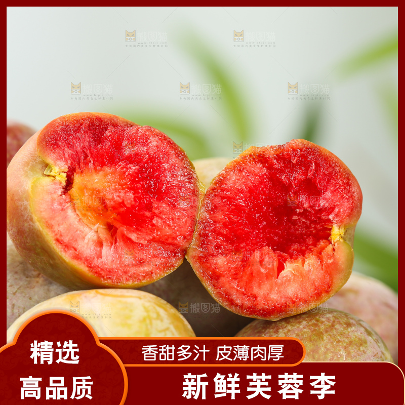 浅底上的芙蓉李