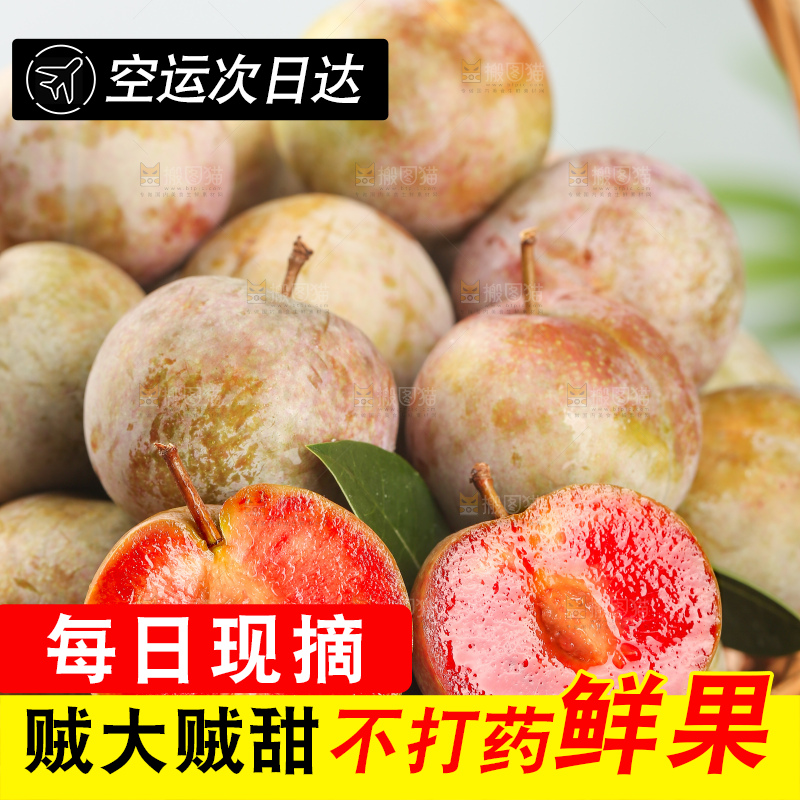 浅底上的芙蓉李