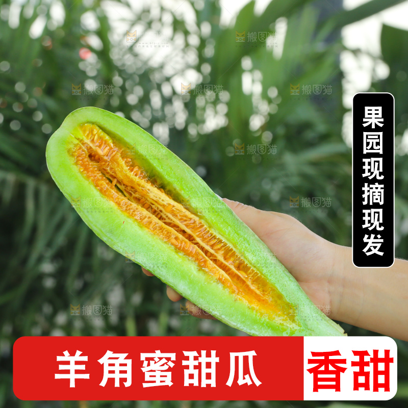 手里拿着羊角蜜甜瓜