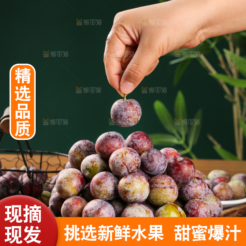 木底上的红脆李