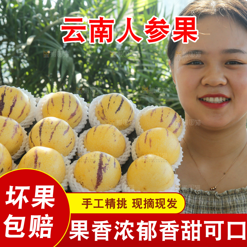 手里拿着一箱石林人参果