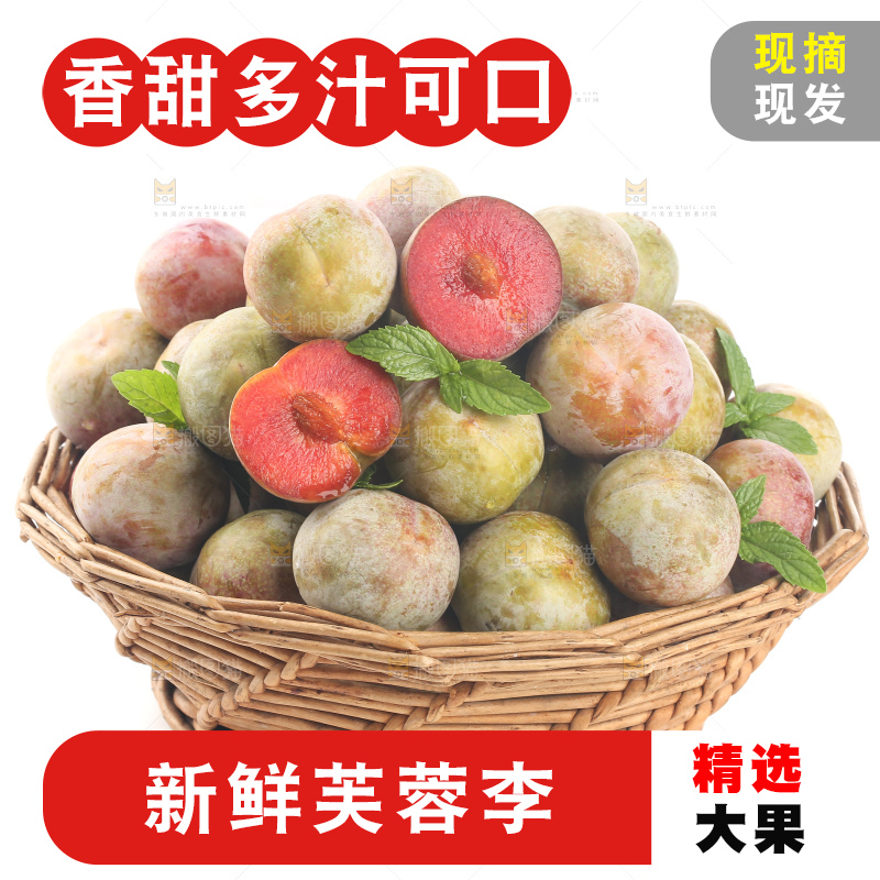 白底上的芙蓉李