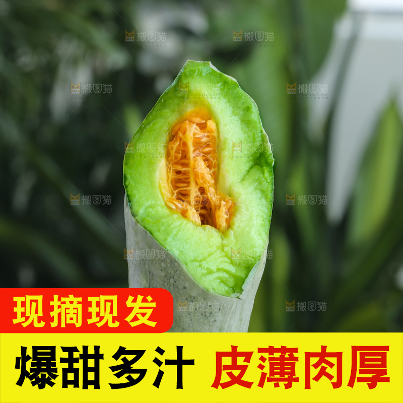 手里拿着羊角蜜甜瓜