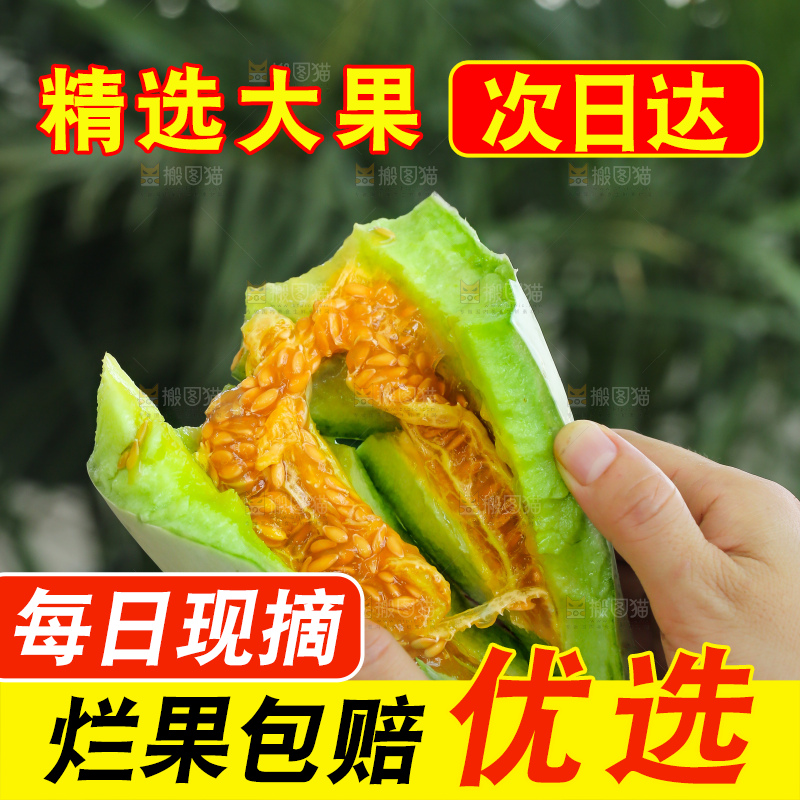手里拿着羊角蜜甜瓜