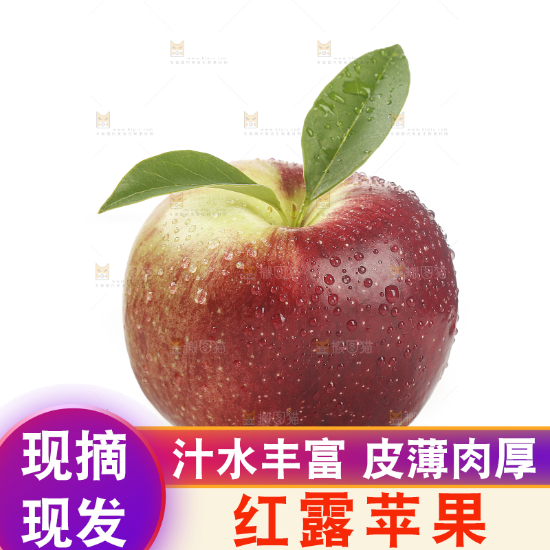 白底上的红露苹果