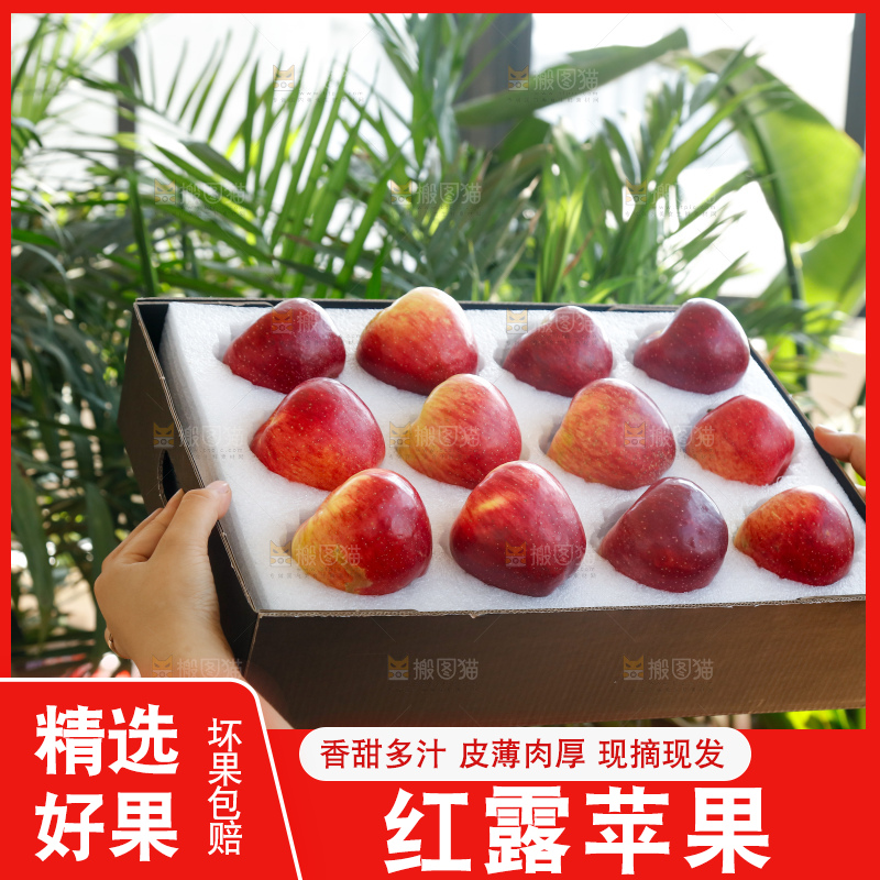 手里拿着红露苹果