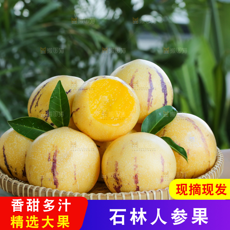 手里拿着石林人参果