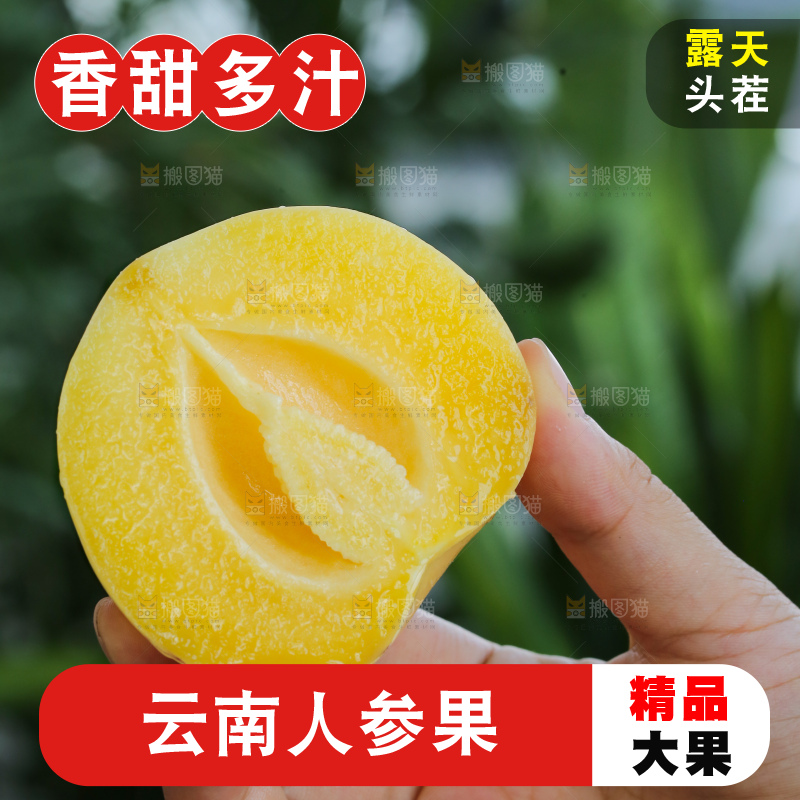 手里拿着石林人参果
