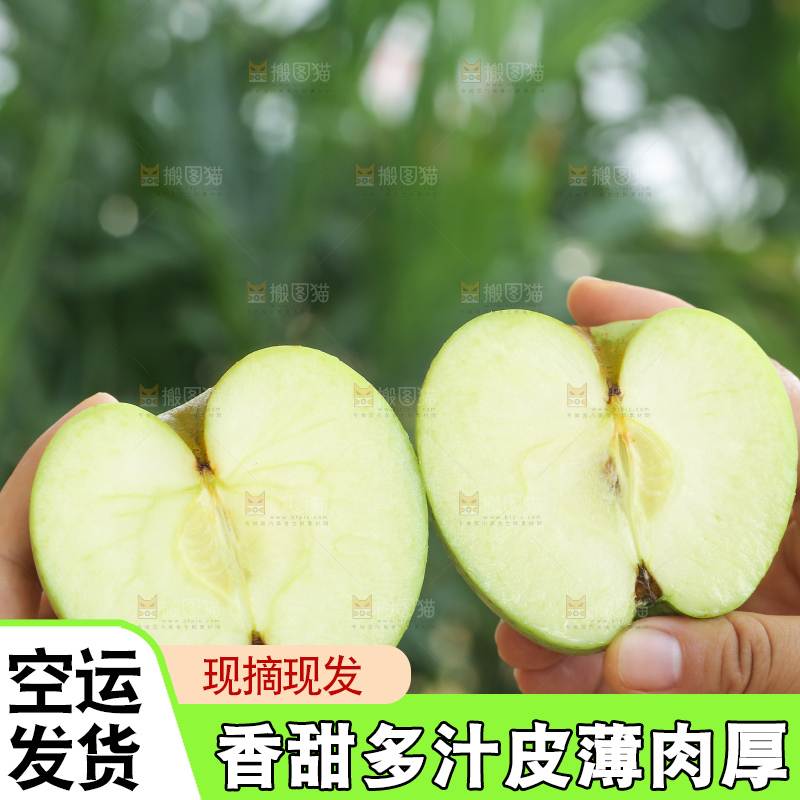 手里拿着金帅青苹果