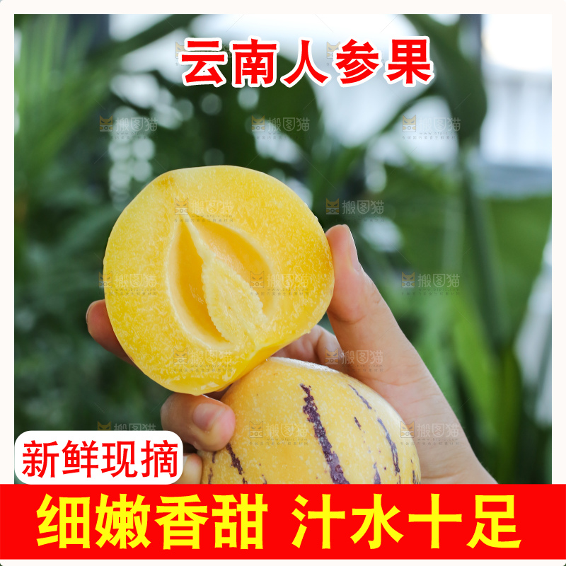 手里拿着石林人参果
