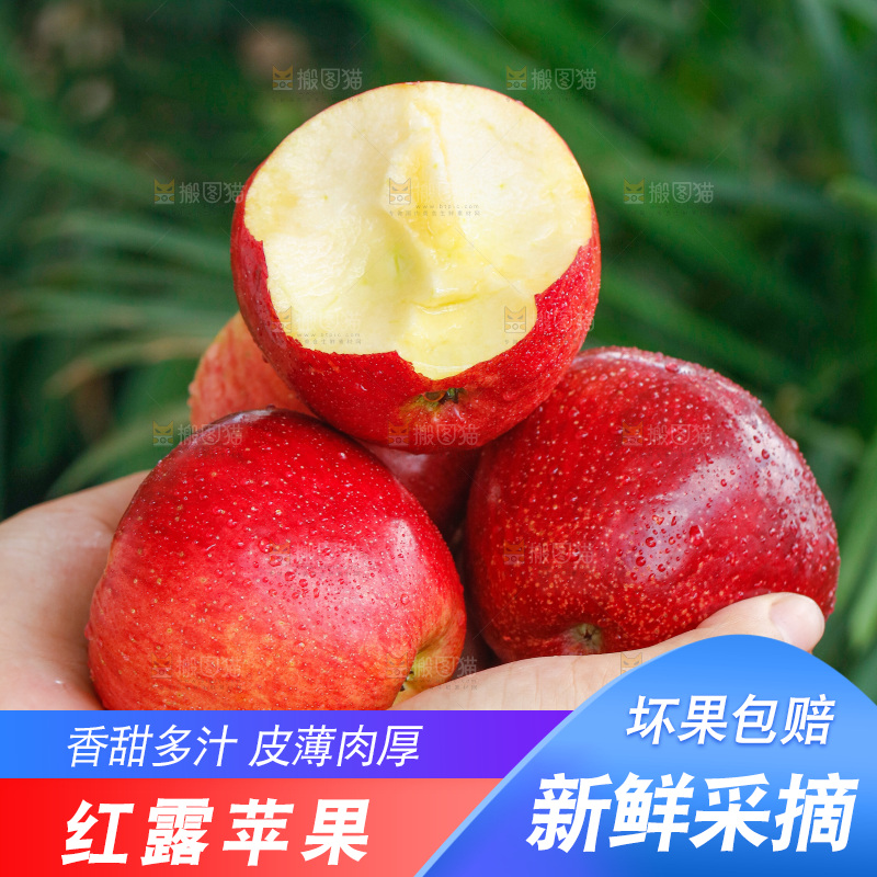 手里拿着红露苹果