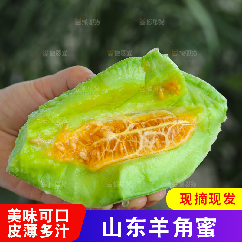 手里拿着羊角蜜甜瓜