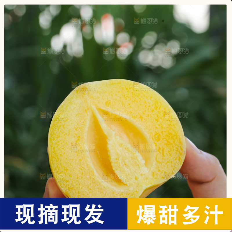手里拿着石林人参果