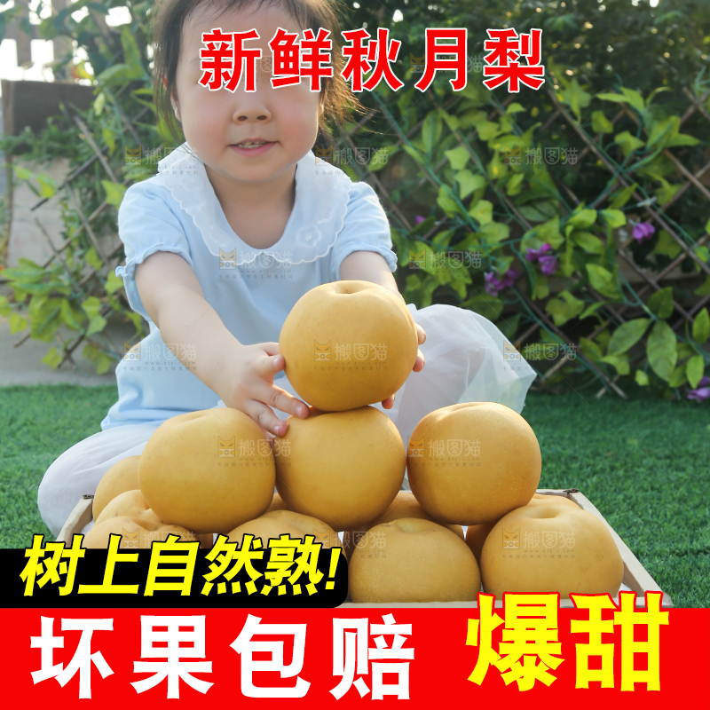 深底上的一盒秋月梨