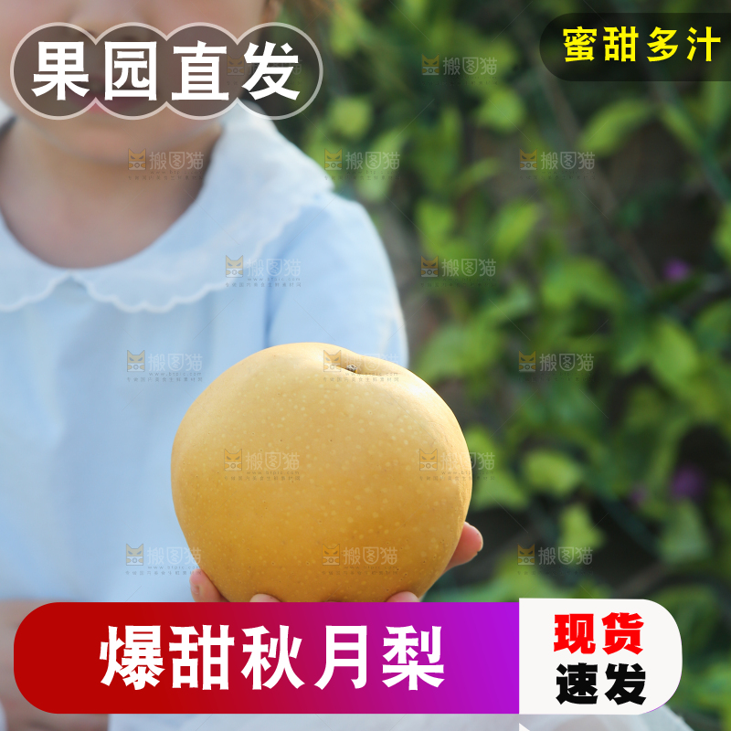手里拿着秋月梨