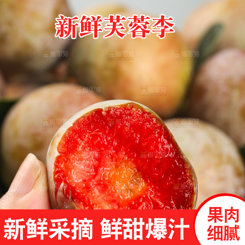 浅底上的芙蓉李