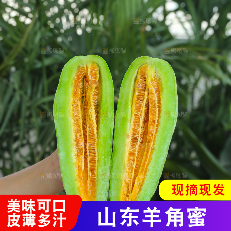 手里拿着羊角蜜甜瓜
