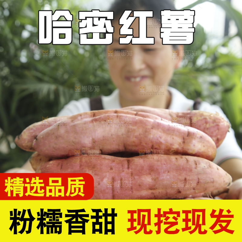 木底上的哈密冰糖薯