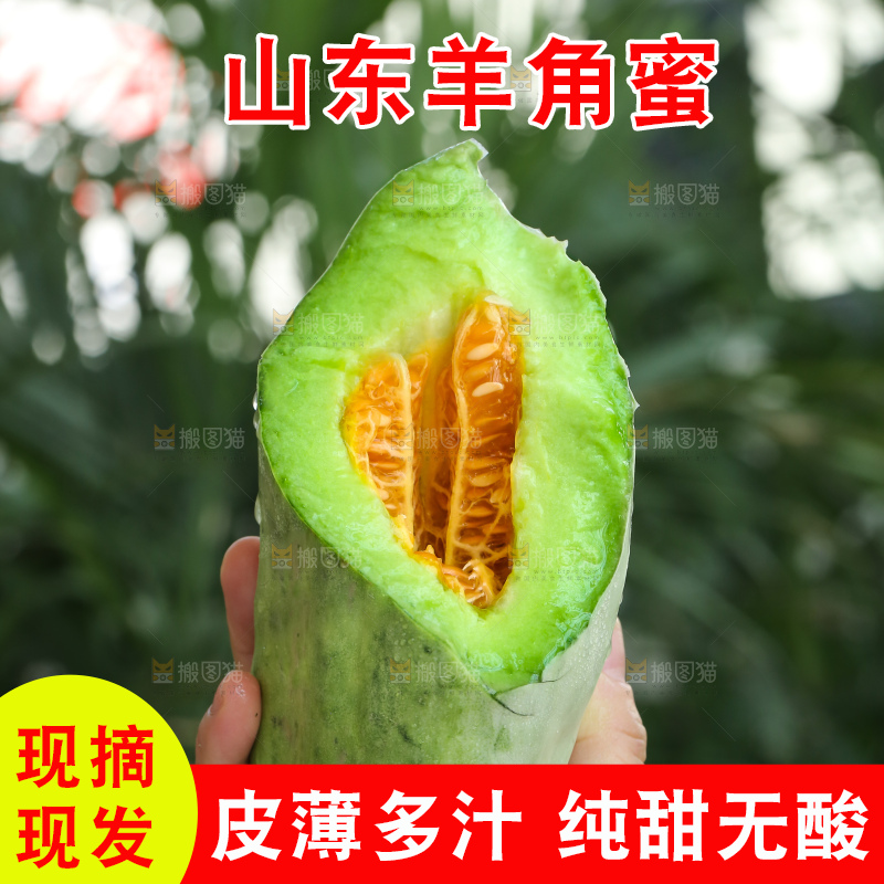 手里拿着羊角蜜甜瓜